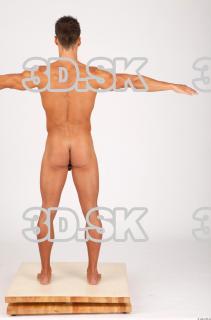 Body texture of Lukas 0056